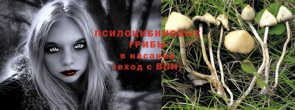 ГАЛЛЮЦИНОГЕННЫЕ ГРИБЫ Краснотурьинск