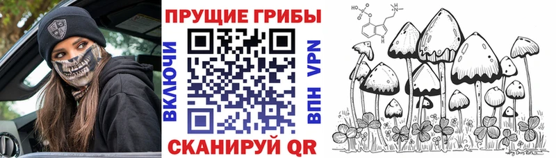 Купить  Лакинск  Псилоцибиновые грибы прущие грибы 
